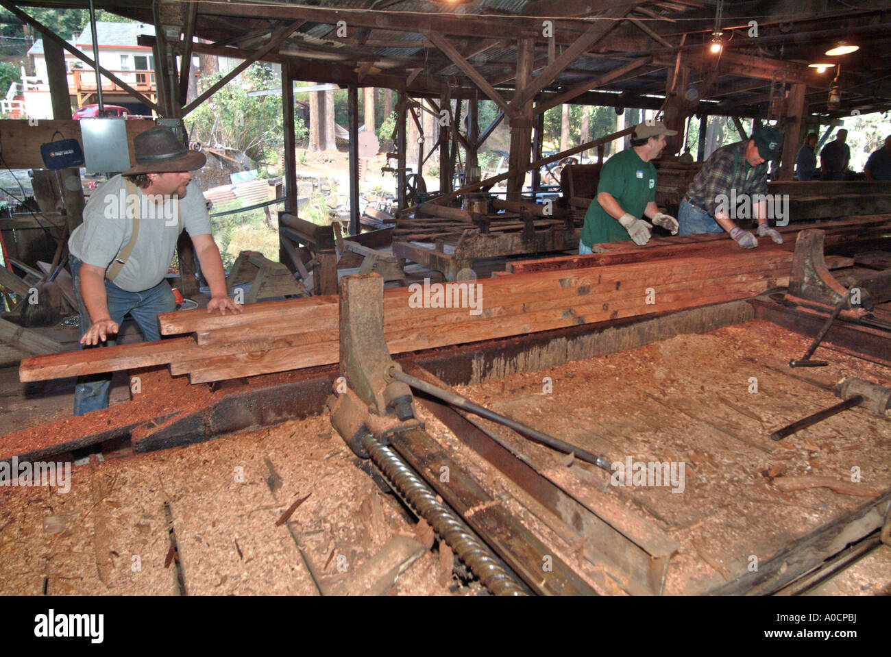Saw mill workers are handllng the final cut redwood lumber as it comes out of the saw station Stock Photo