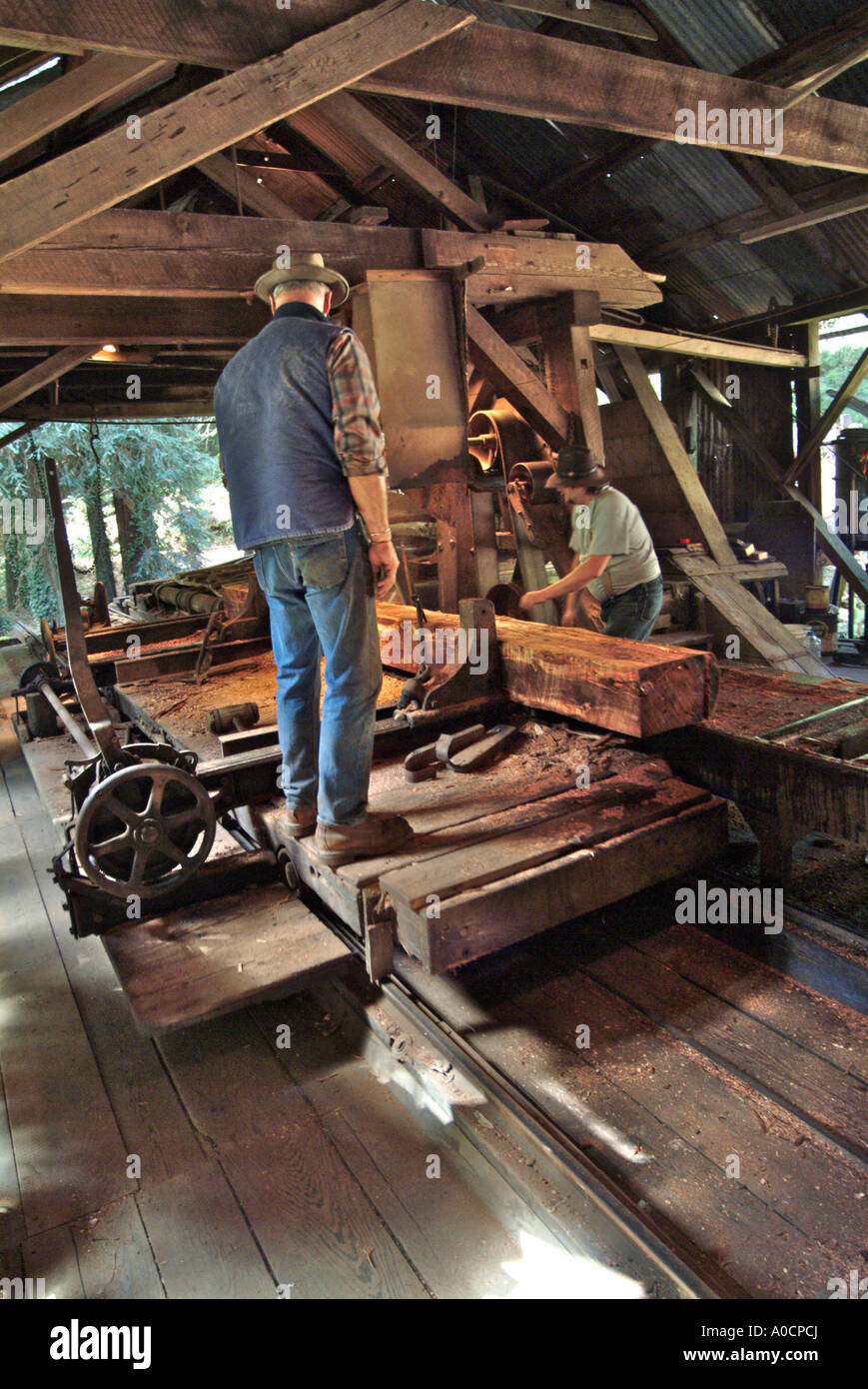 Saw mill workers begin the final trimming cut of a redwood log at an antique saw mill in Occidental California Stock Photo