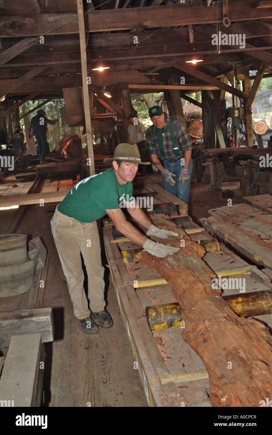 Saw mill workers are handlng the trimmed pieces off of a redwood log as it comes out of the saw station at an antique saw mill Stock Photo
