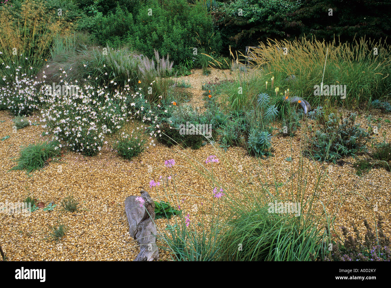 ORNAMENTAL GRASSES COMBINED WITH HERBACEOUS PLANTING IN THE GRAVEL