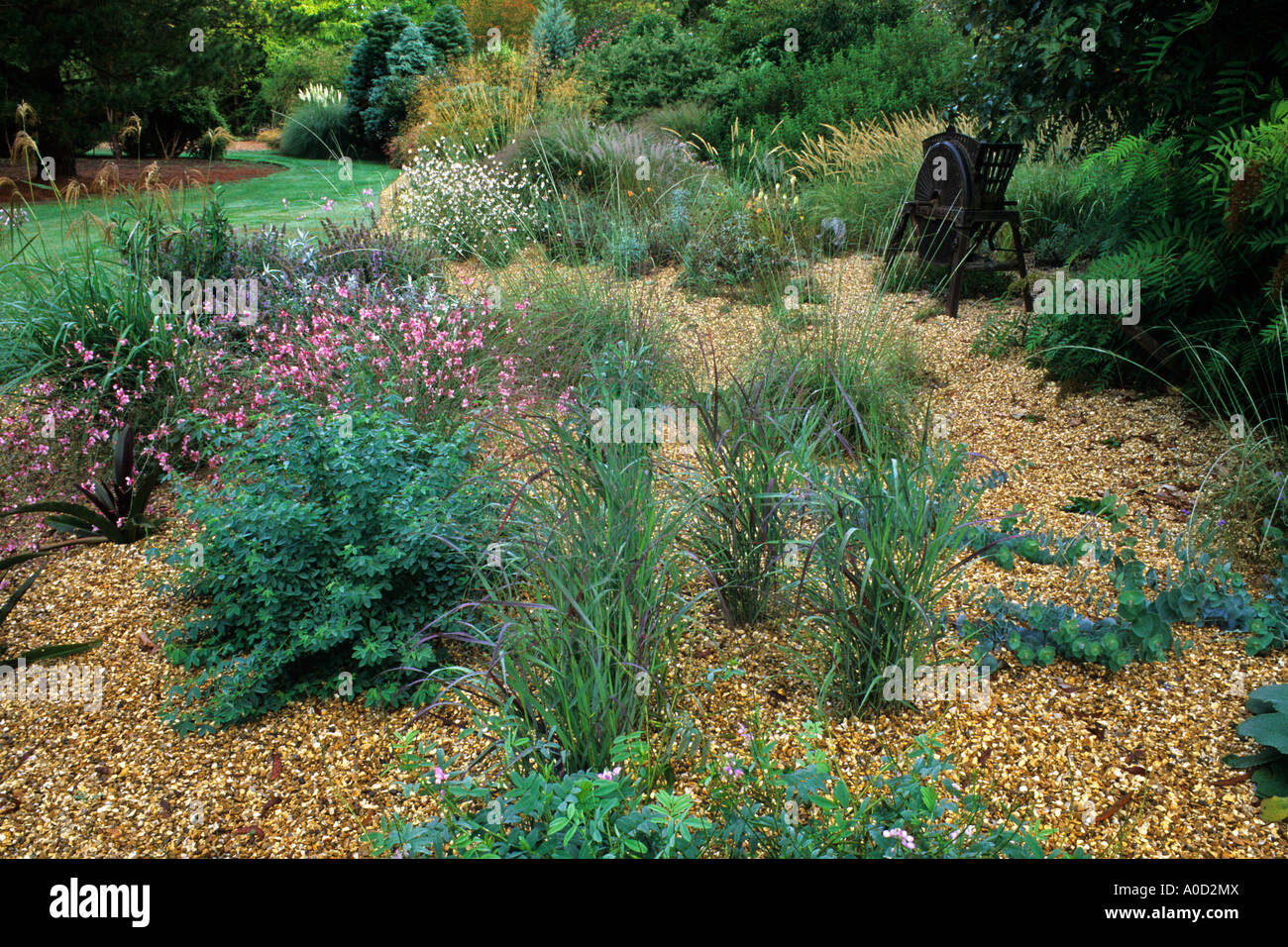 ORNAMENTAL GRASSES COMBINED WITH HERBACEOUS PLANTING IN THE GRAVEL