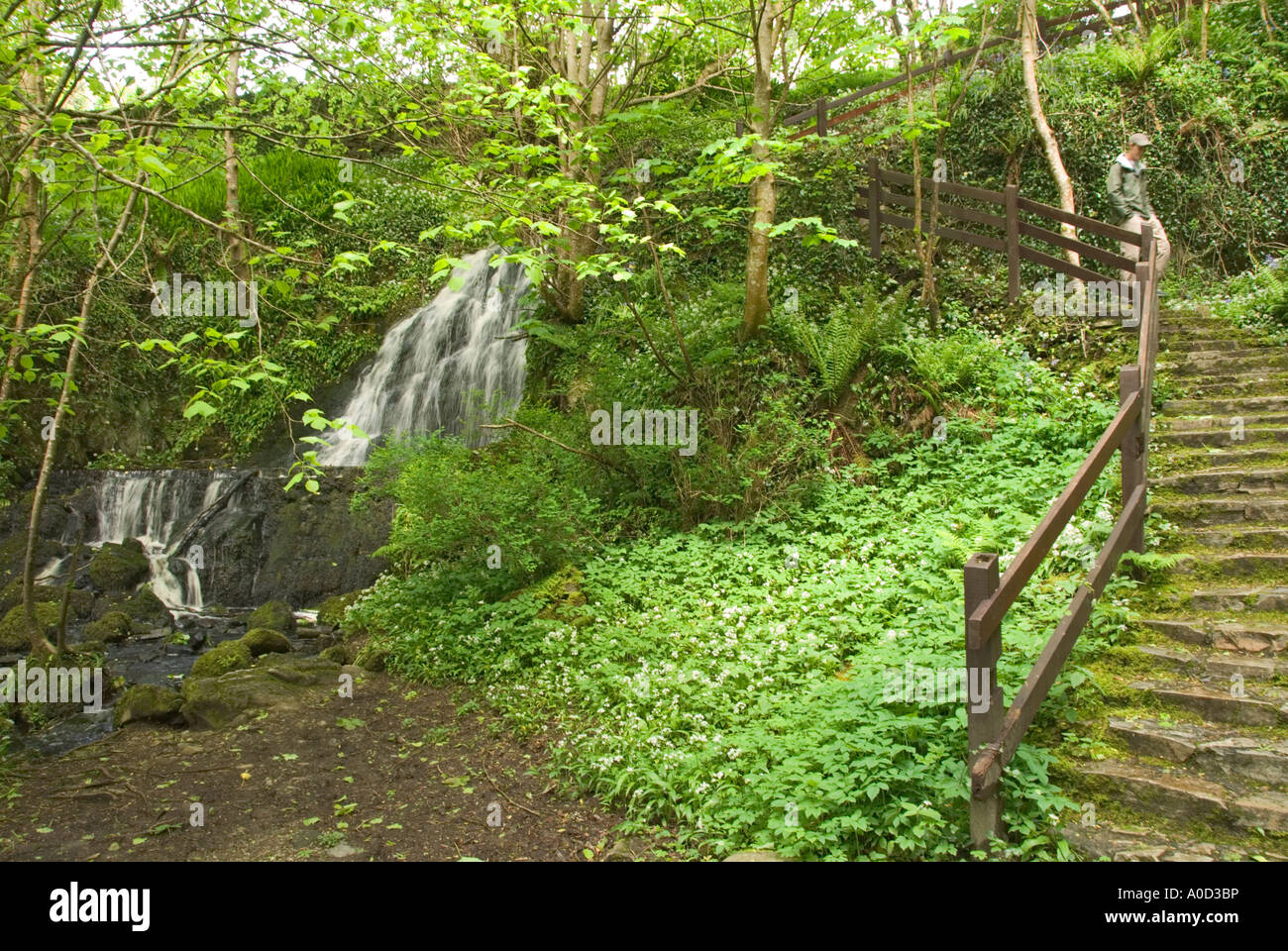 Ireland County Galway Connemara National Park Ellis Wood Nature Trail Stock Photo
