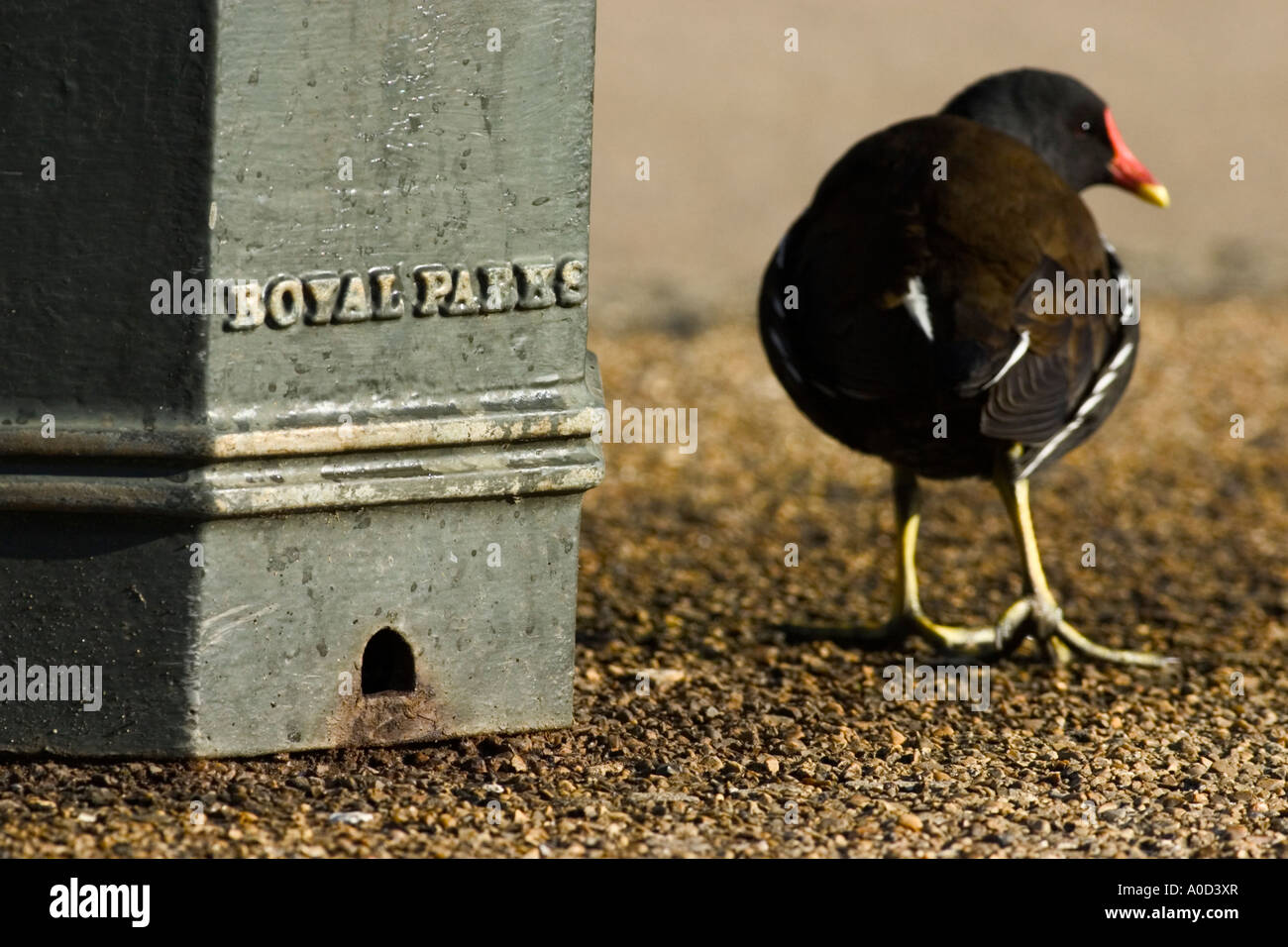 Hyde Park Logo High Resolution Stock Photography and Images - Alamy