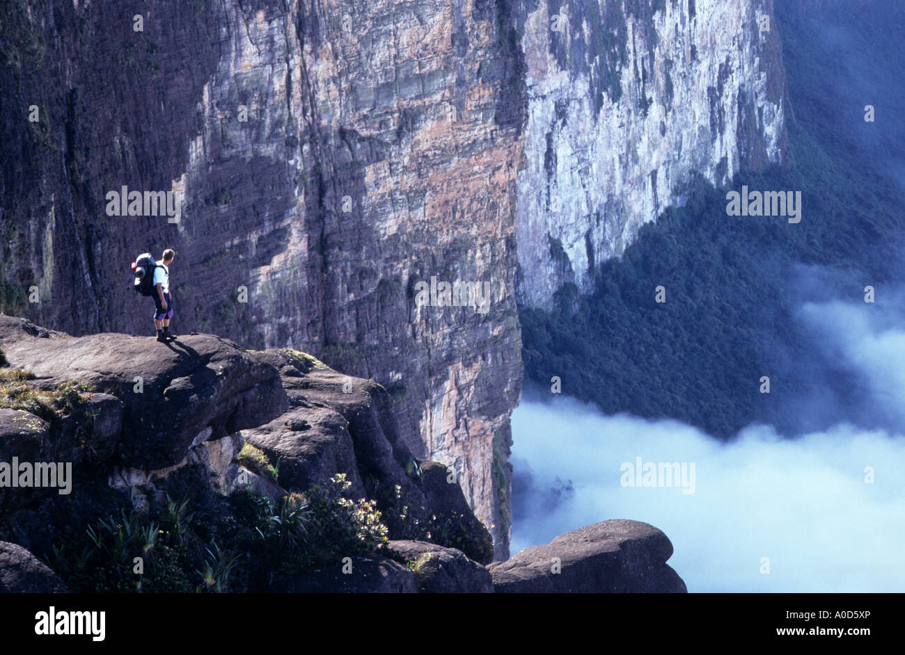 Roraima Summit High Resolution Stock Photography and Images - Alamy