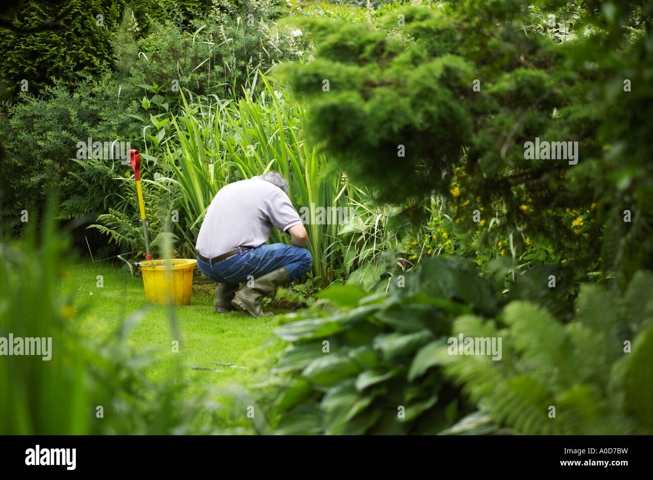 Pulling weeds hi-res stock photography and images - Alamy