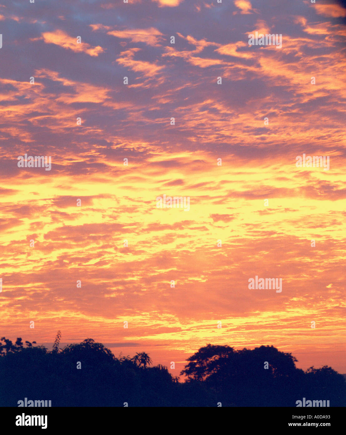 Altocumulus and stratocumulus clouds hi-res stock photography and ...