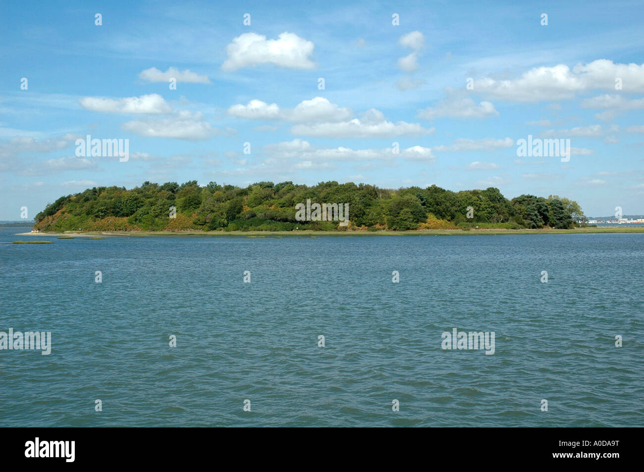 Green Island, Poole Harbour, Dorset Stock Photo Alamy