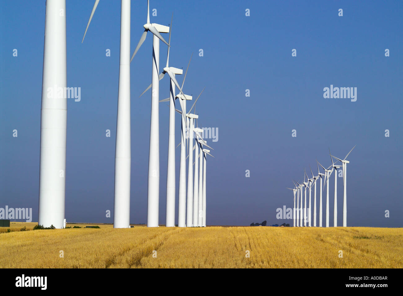 Rows of wind turbines Montezuma Kansas Stock Photo Alamy