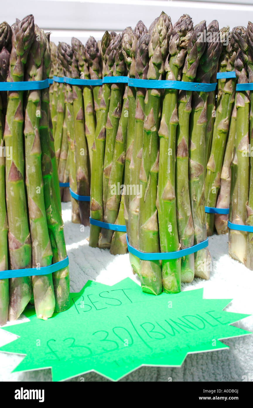 Asparagus bundles Stock Photo 9960689 Alamy