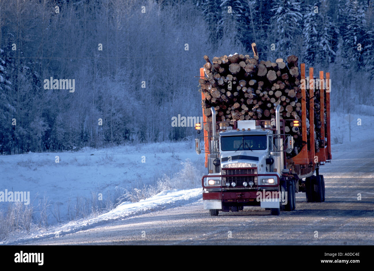 Logging truck in winter on remote road Northern Alberta Canada Stock
