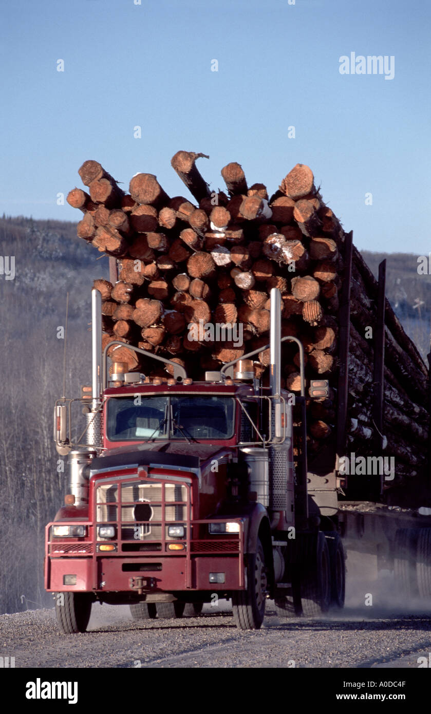 Logging truck on log haul road Alberta Canada Stock Photo Alamy