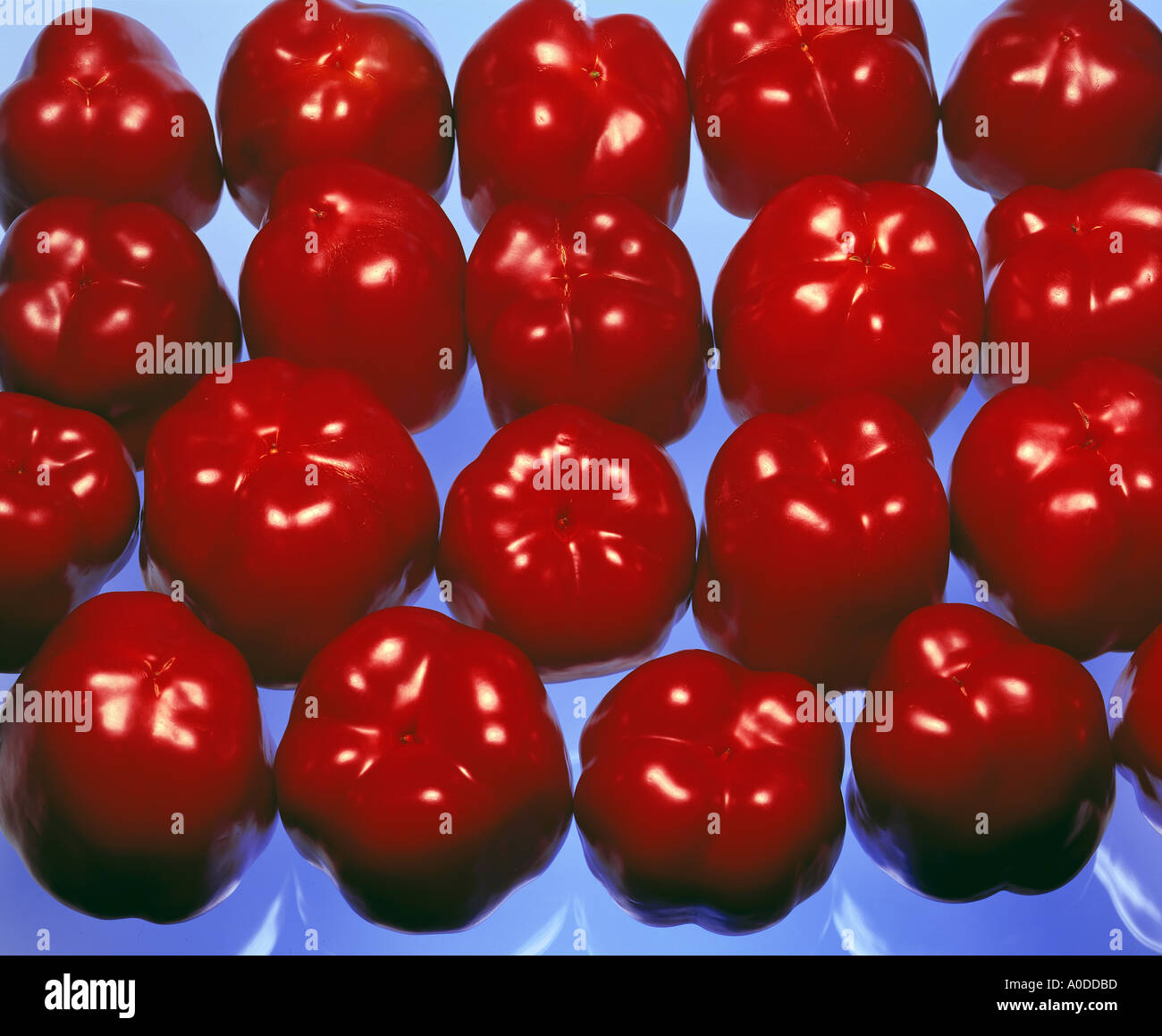 red paprika paprikas pepperoni peppers pepper vegetables fruit fruits