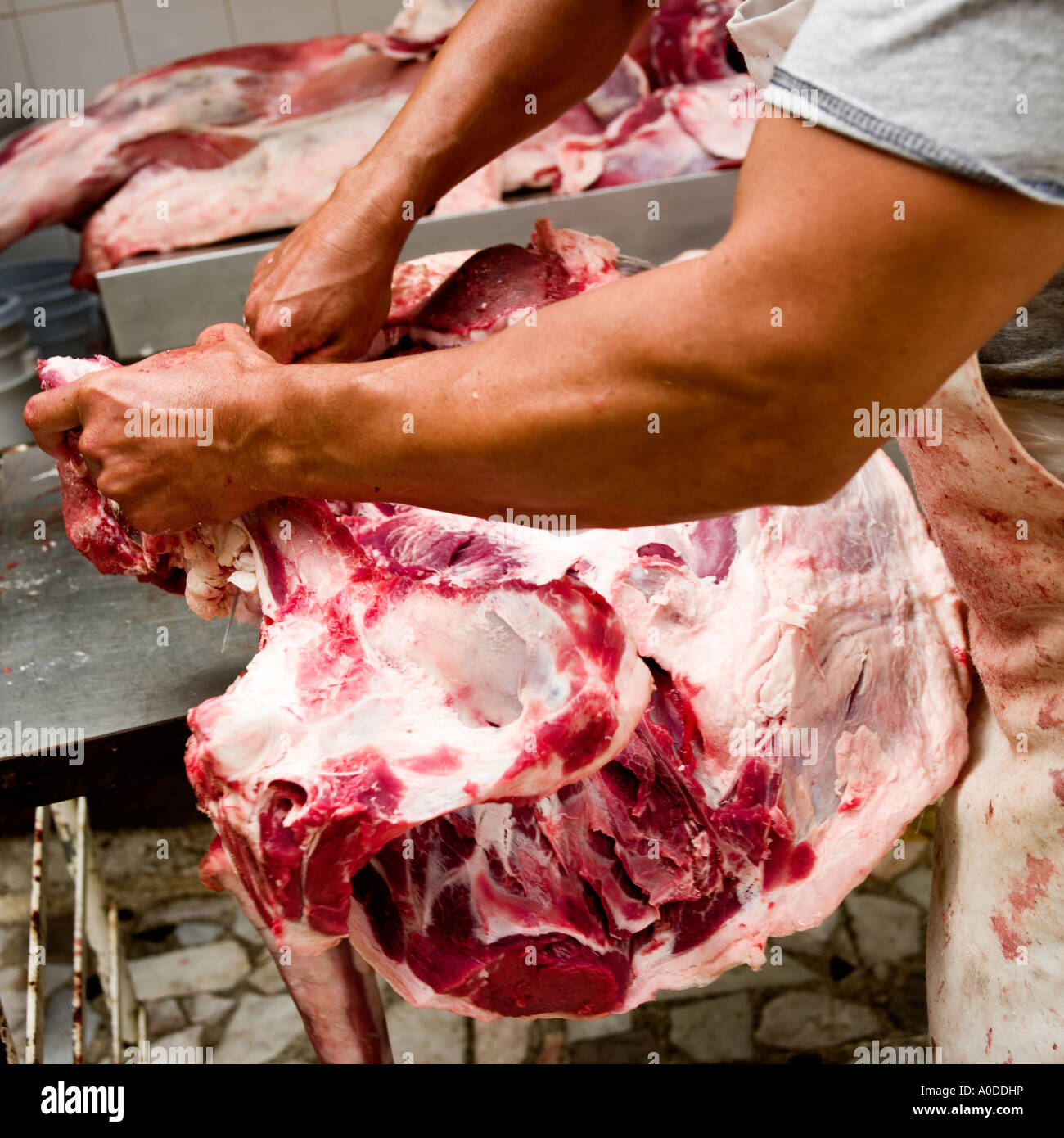 Strong arm of a butcher preparing meat No model release required, croped face, head, means man nrecognizable Stock Photo