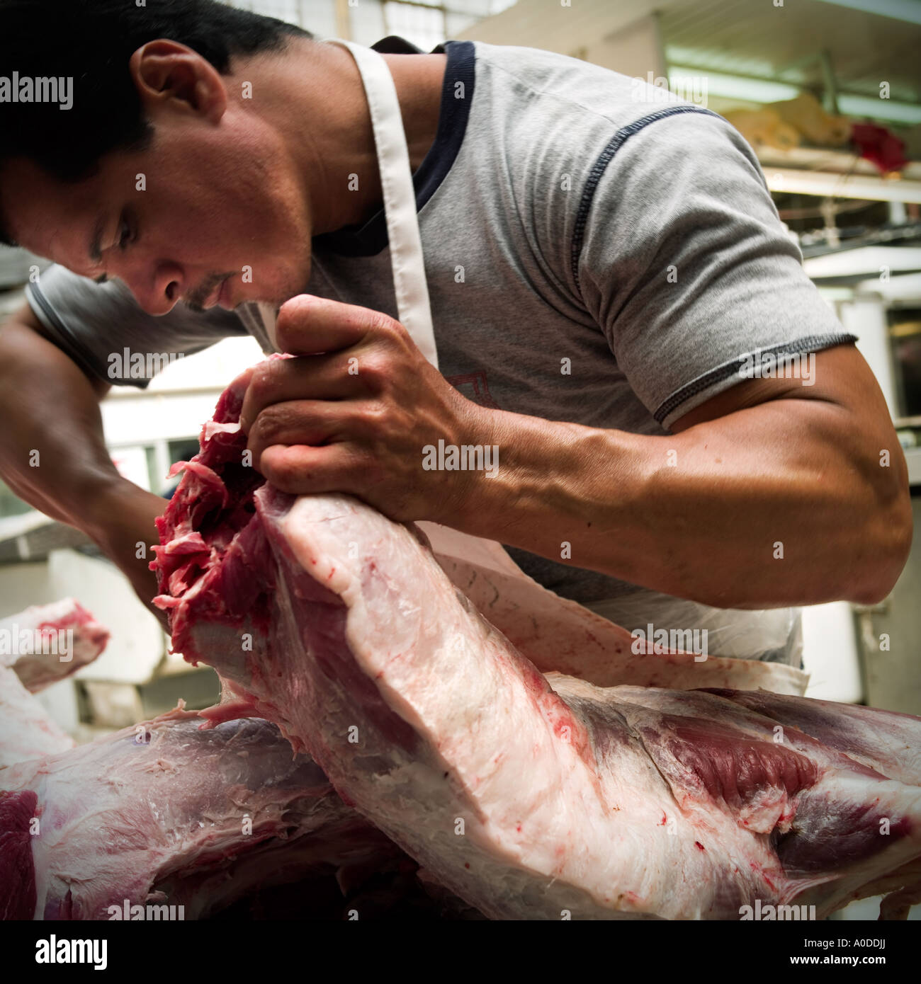 Strong arm of a butcher preparing meat In the market in Mazatlan Sinaloa Mexico Stock Photo