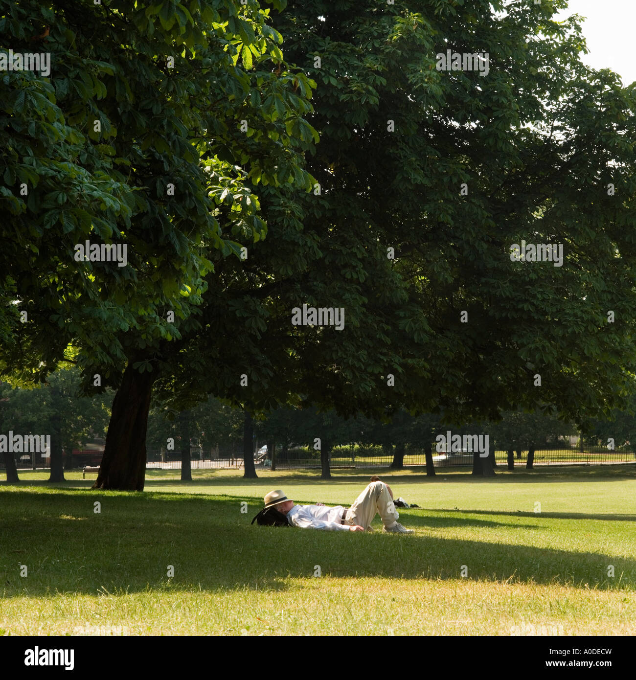 Man sleeps in summer sun in Clissold Park north London England UK Stock Photo