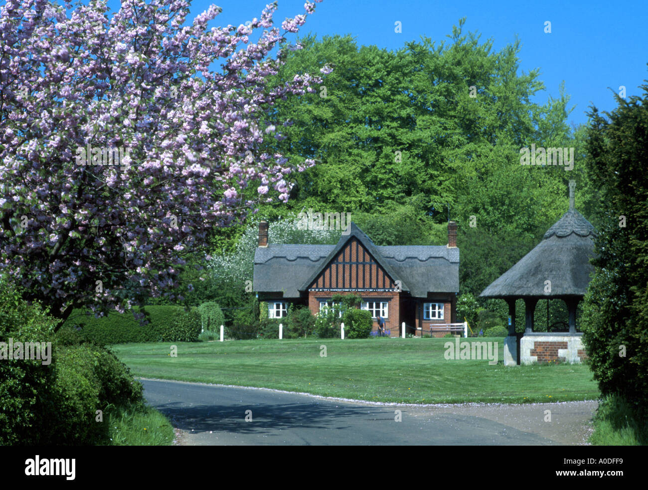 Village green of Woodbastwick NORFOLK EAST ANGLIA ENGLAND UK Stock Photo Alamy