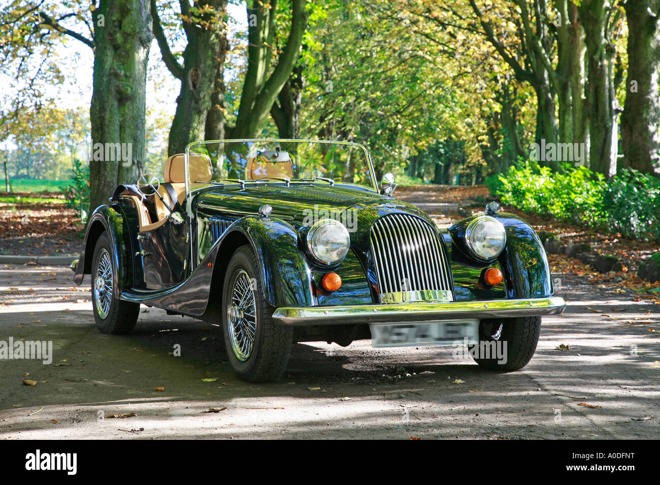 Morgan 4/4 2 seater Sports Car in a rural country setting Stock Photo