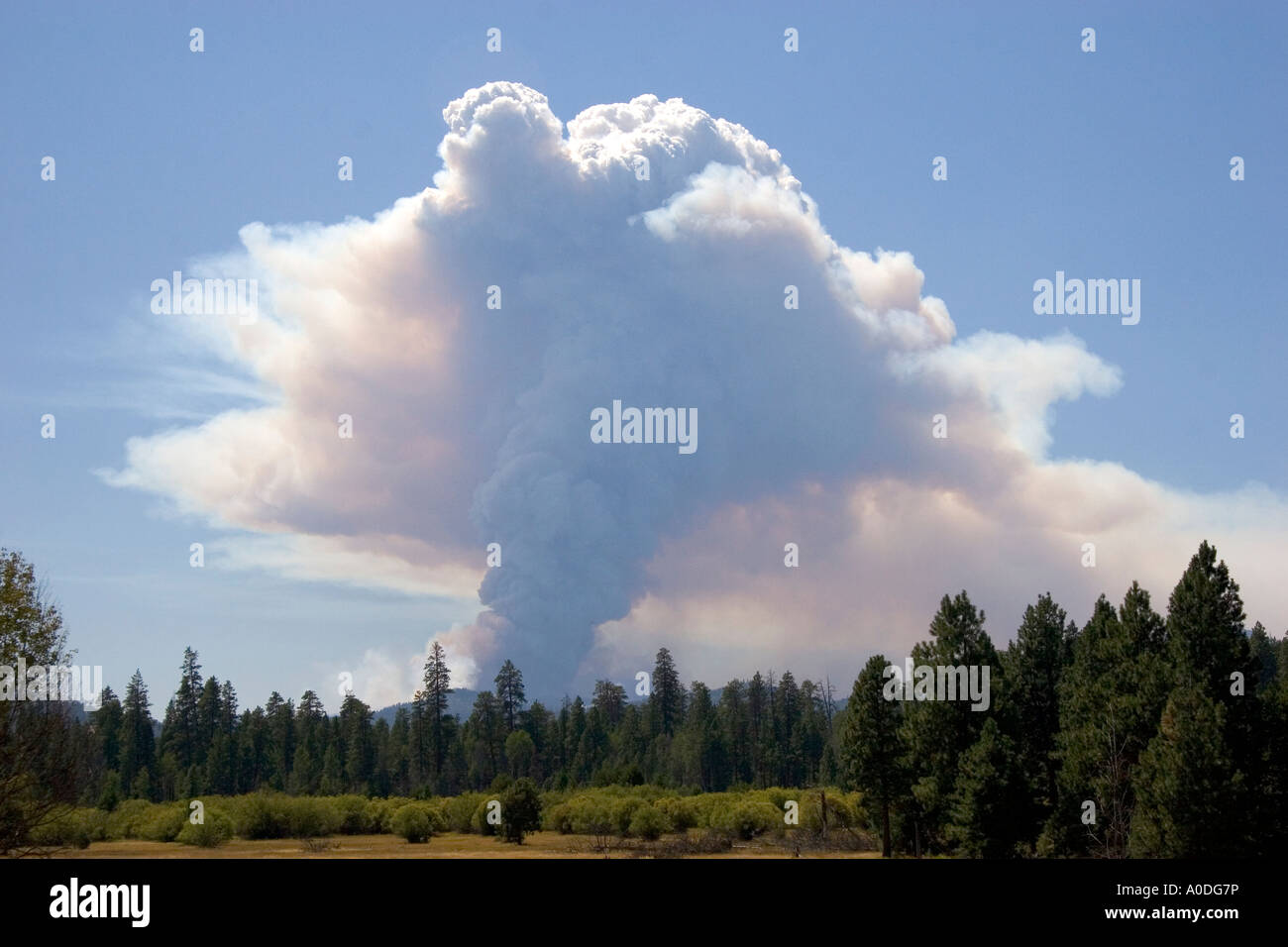 Plume of smoke from a wildfire near Sisters Oregon Stock Photo