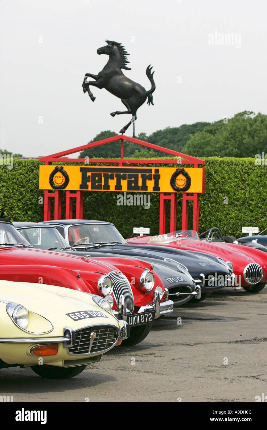 Sports cars lined up for display at Mallory Park Racing Circuit, Leicestershire Stock Photo