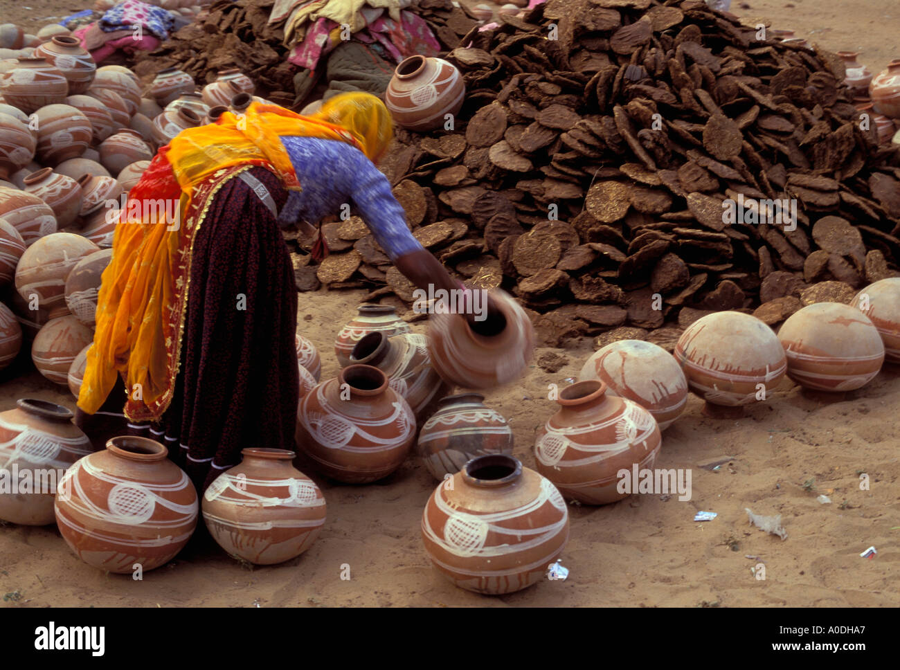 Marwari women collecting camel droppings to fuel fires instead of
