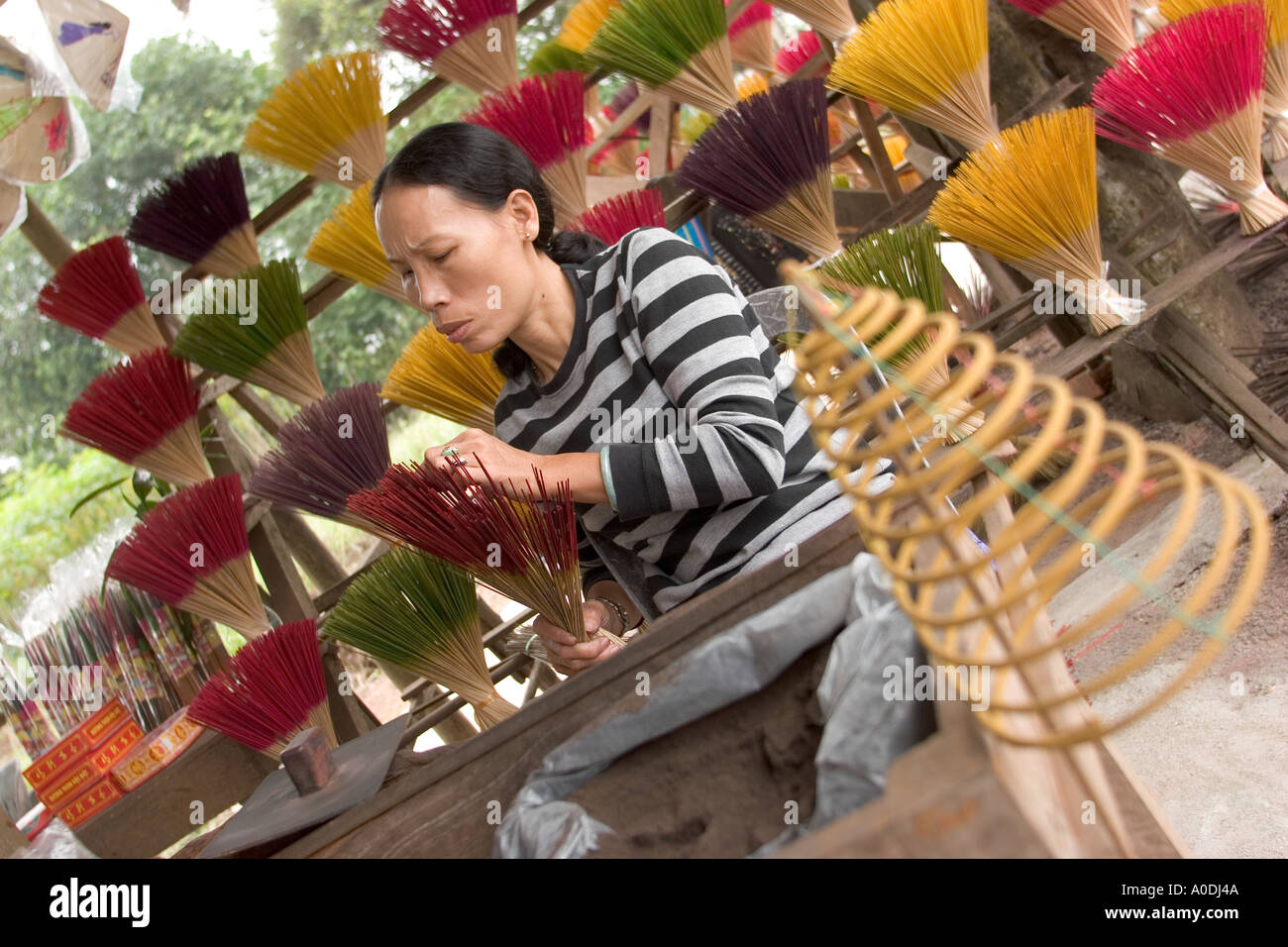 Vietnam Hue woman making incense sticks Stock Photo
