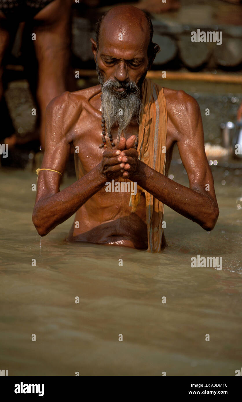 Hindu elder bathing in the sacred Ganges River Hinduism Varanasi Uttar ...