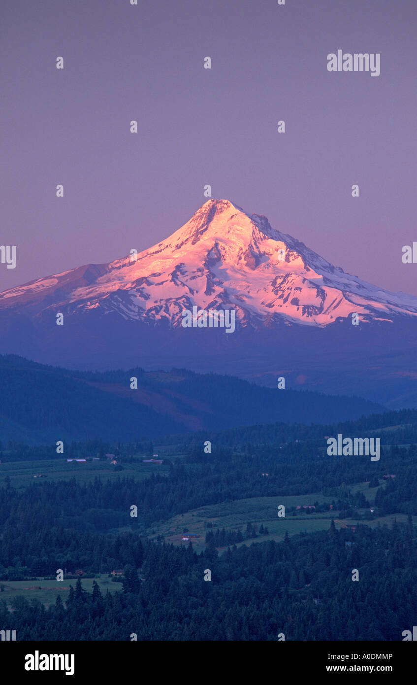 23702312 hires stock photography and images Alamy