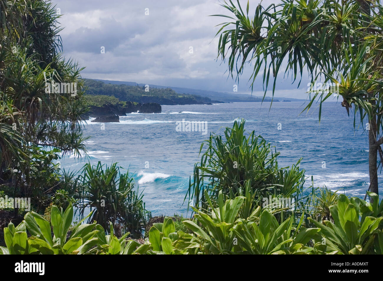 Hana coast view from Kahanu Garden National Tropical Botanical Garden Maui Hawaii Stock Photo