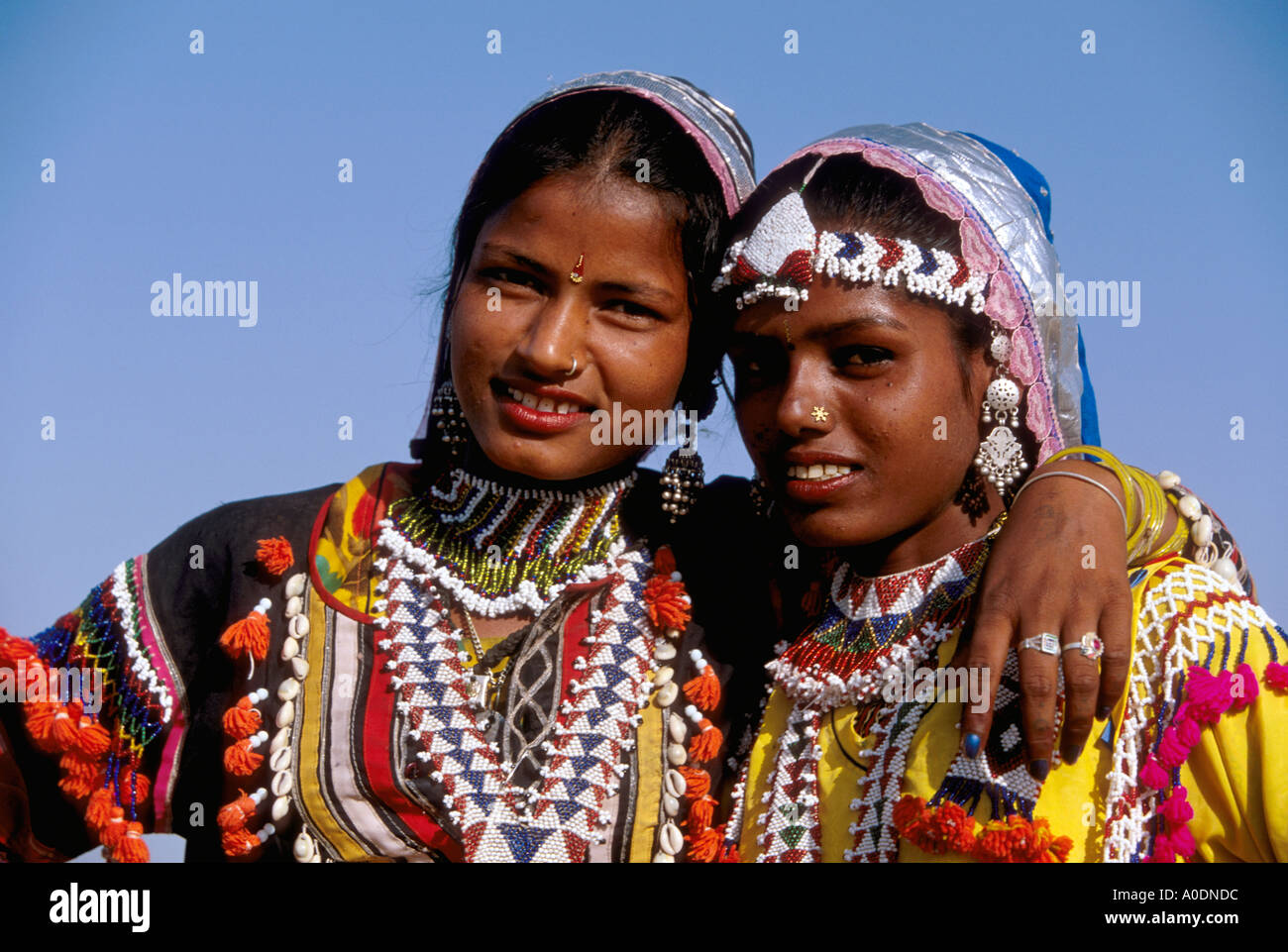 Kalbeliya Gypsy Traditional Dancers and Snake Charmers Indigenous Nomadic People of the