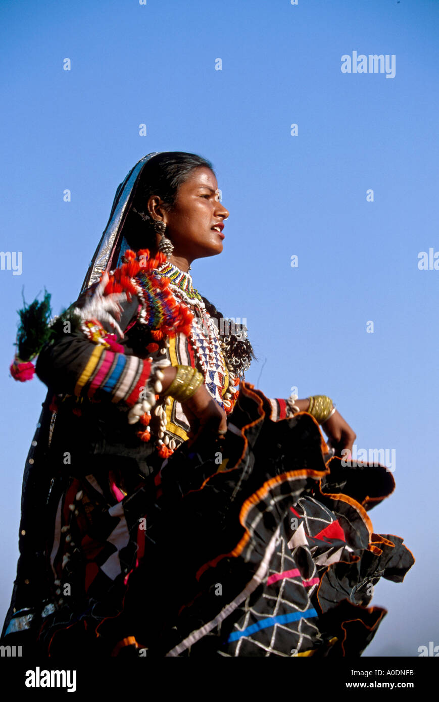 Kalbeliya Gypsy Traditional Dancers and Snake Charmers Indigenous Nomadic People of the