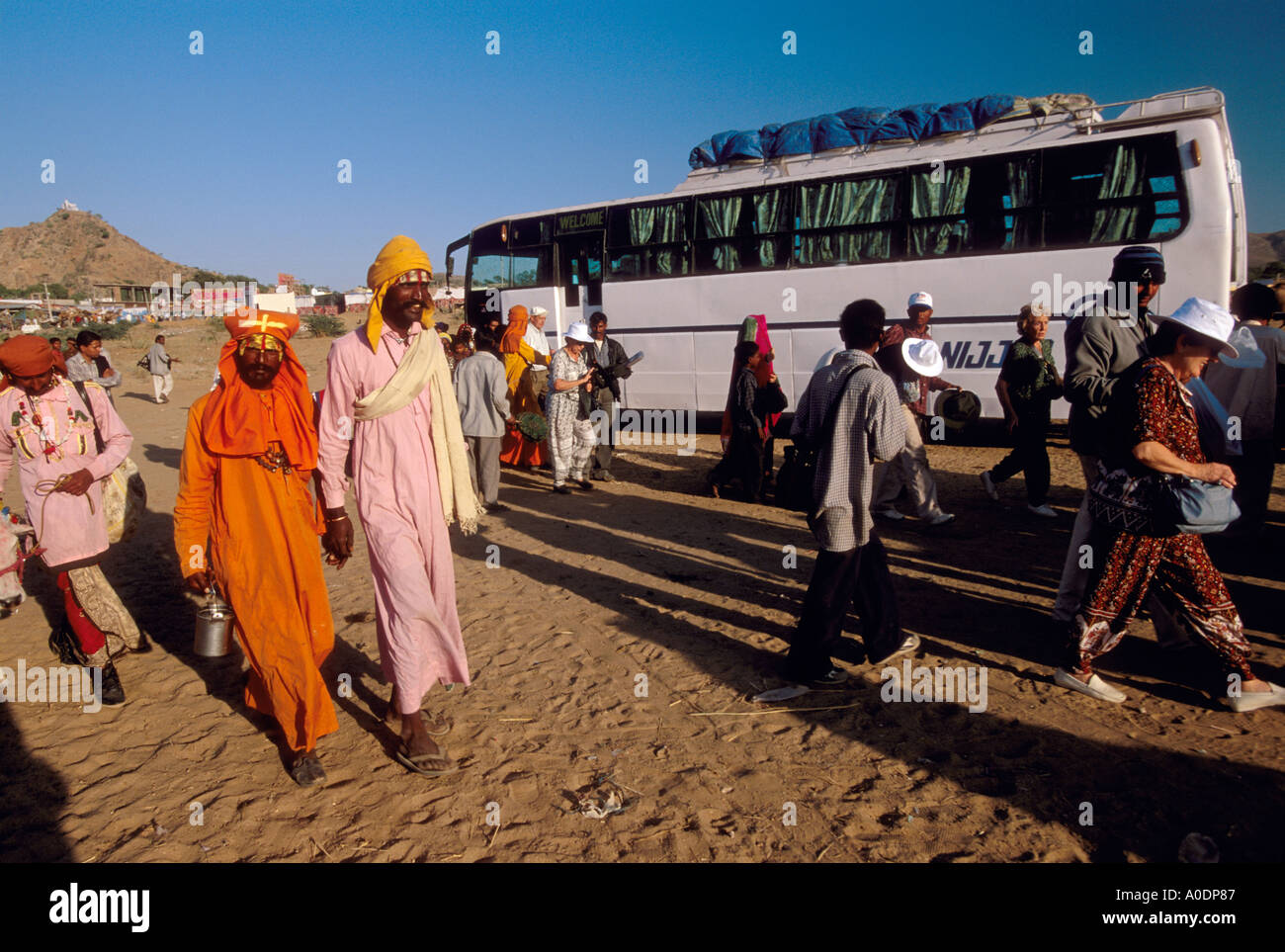 Kalbeliya Gypsy Traditional Dancers and Snake Charmers Indigenous Nomadic People of the