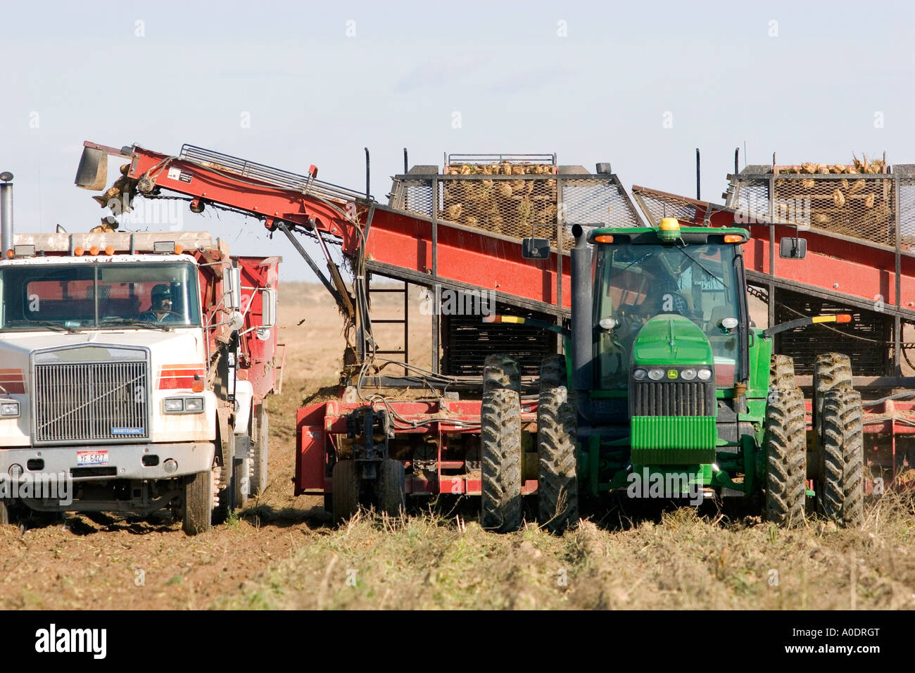 Sugar beet harvest in Mountain Home Idaho Stock Photo Alamy