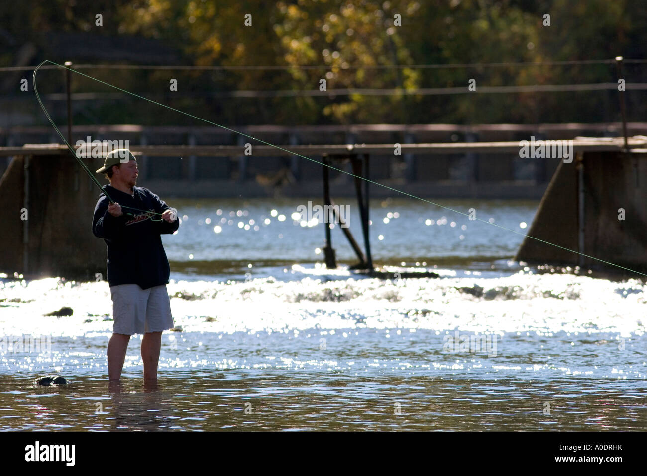 A man fly fishing on the Payette River in Idaho Stock Photo Alamy