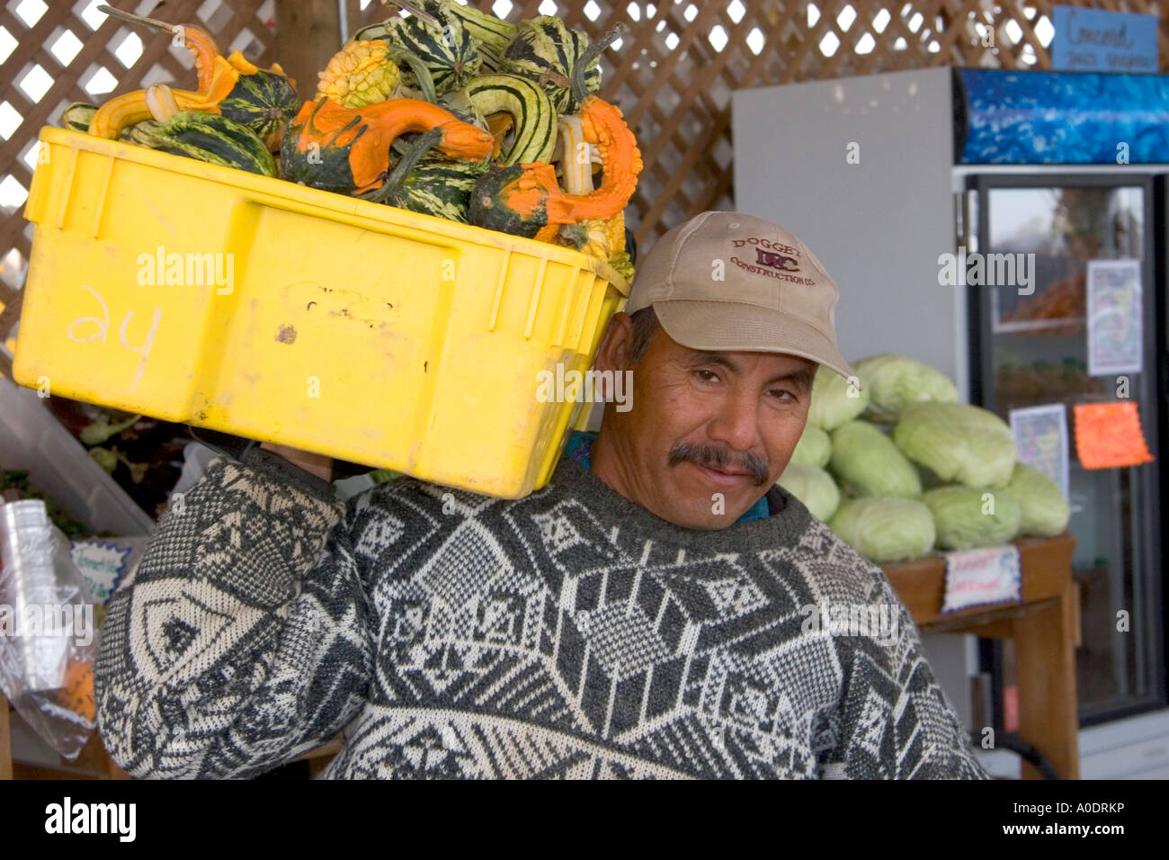 Mexican farm worker carrying harvested gourds at a farmers market in