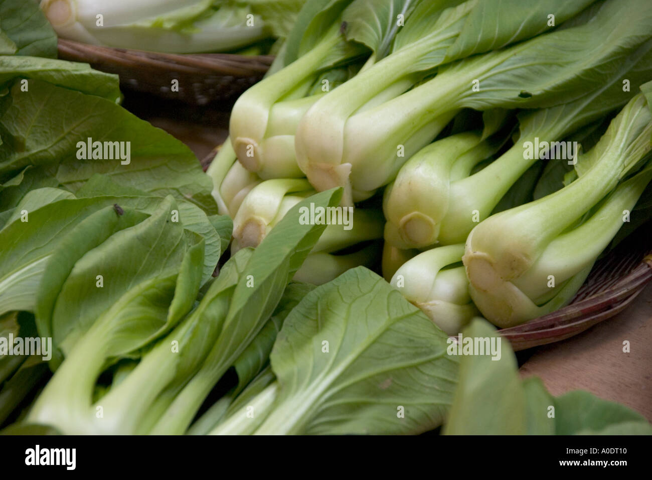 Green vegetables on sale in Singapore s Chinatown Stock Photo