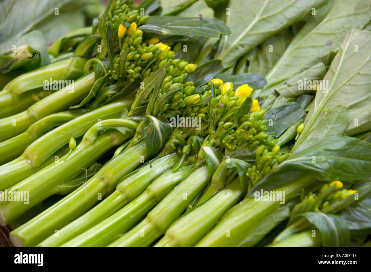 Vegetable market in singapore hires stock photography and images Alamy