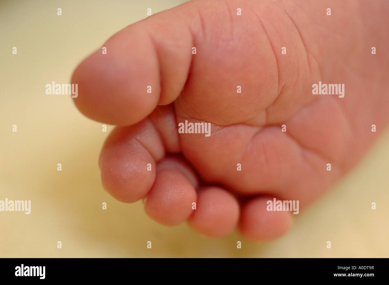 Newborn baby's foot Stock Photo Alamy