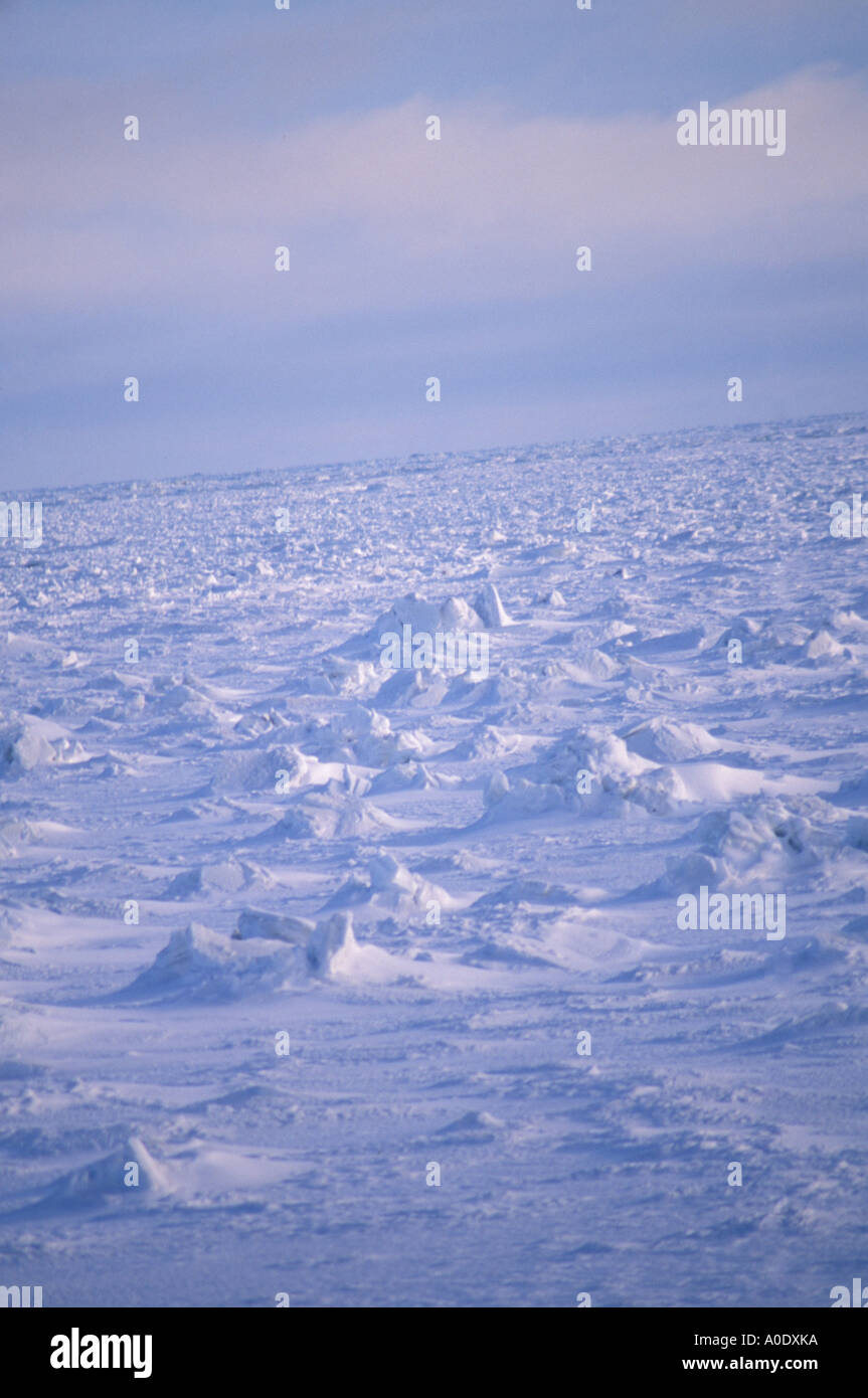 Wapusk National Park Hudson Bay Cape Churchill Manitoba Canada North ...