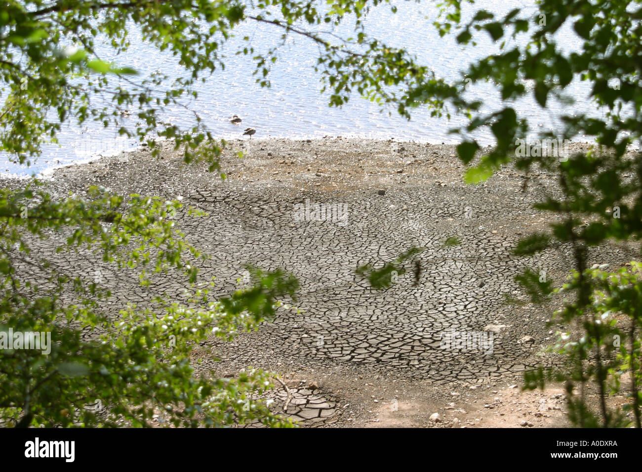 Dried out water supply reservoir Stock Photo