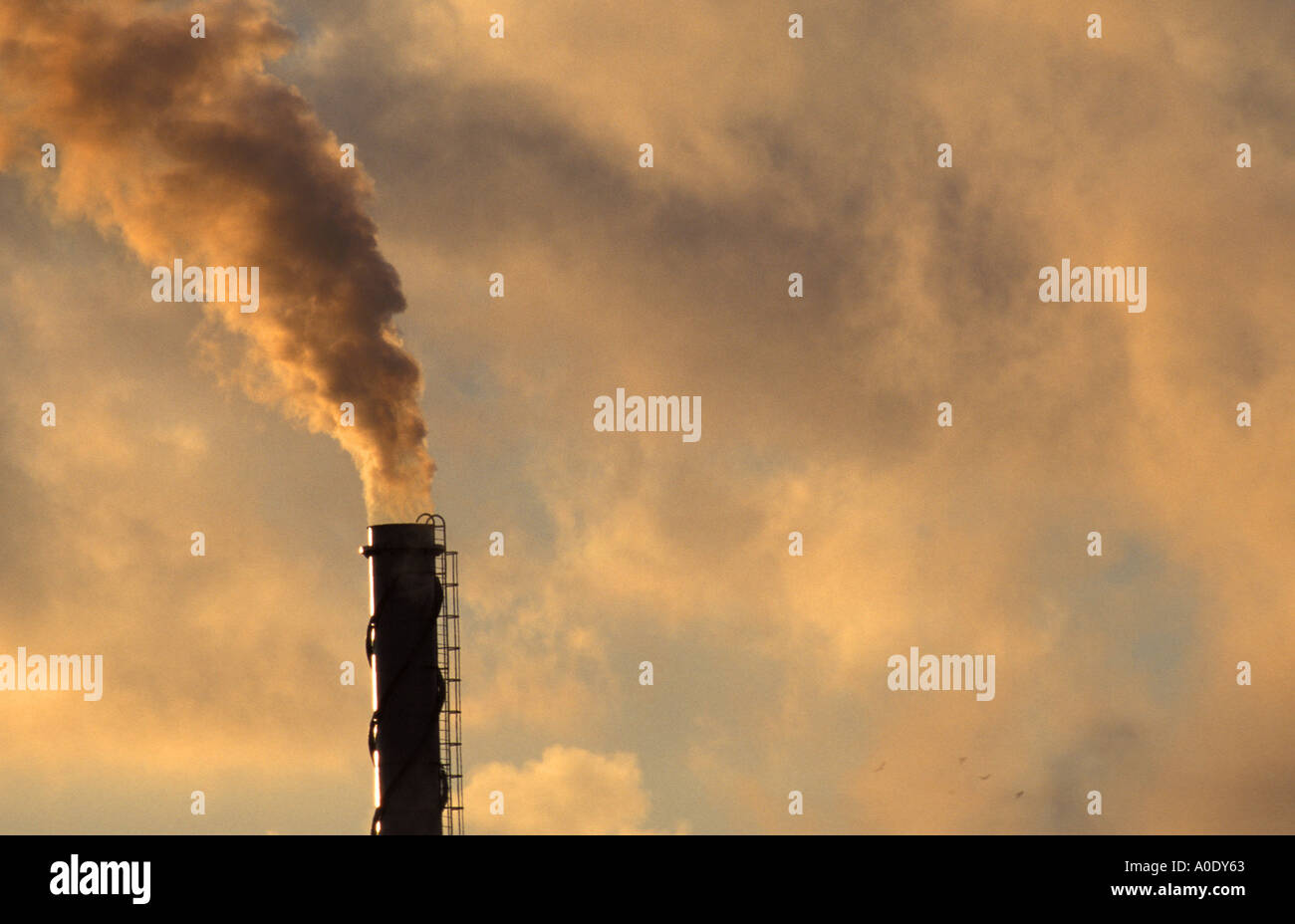 Belching chimney at Rhone Poulanc ISC Avonmouth Bristol England Stock Photo