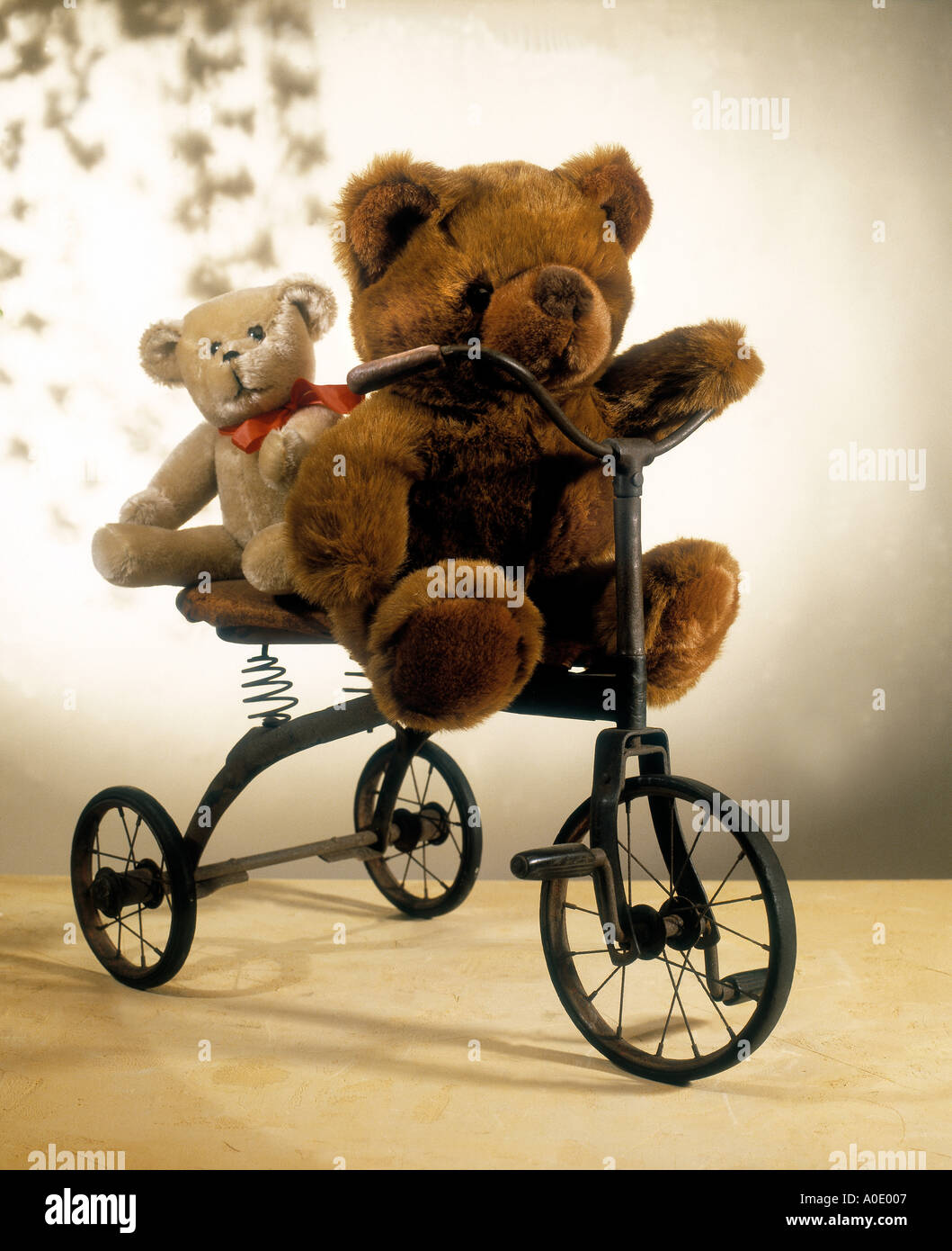 Bears Bicycle