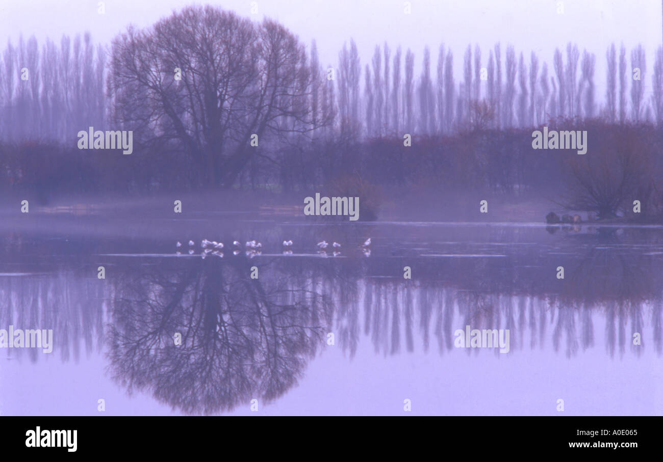 reflections Stock Photo