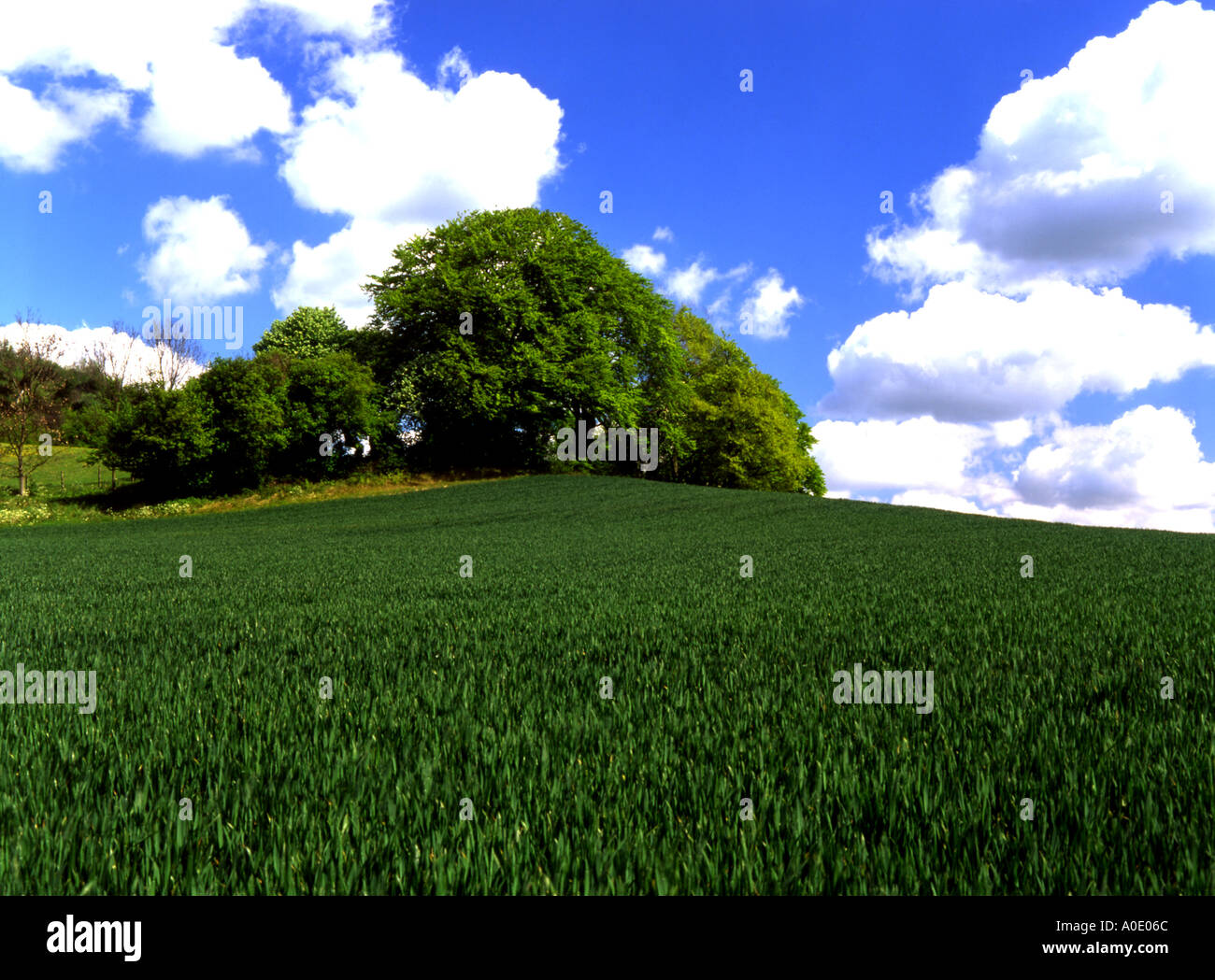 crest of the hill Stock Photo Alamy