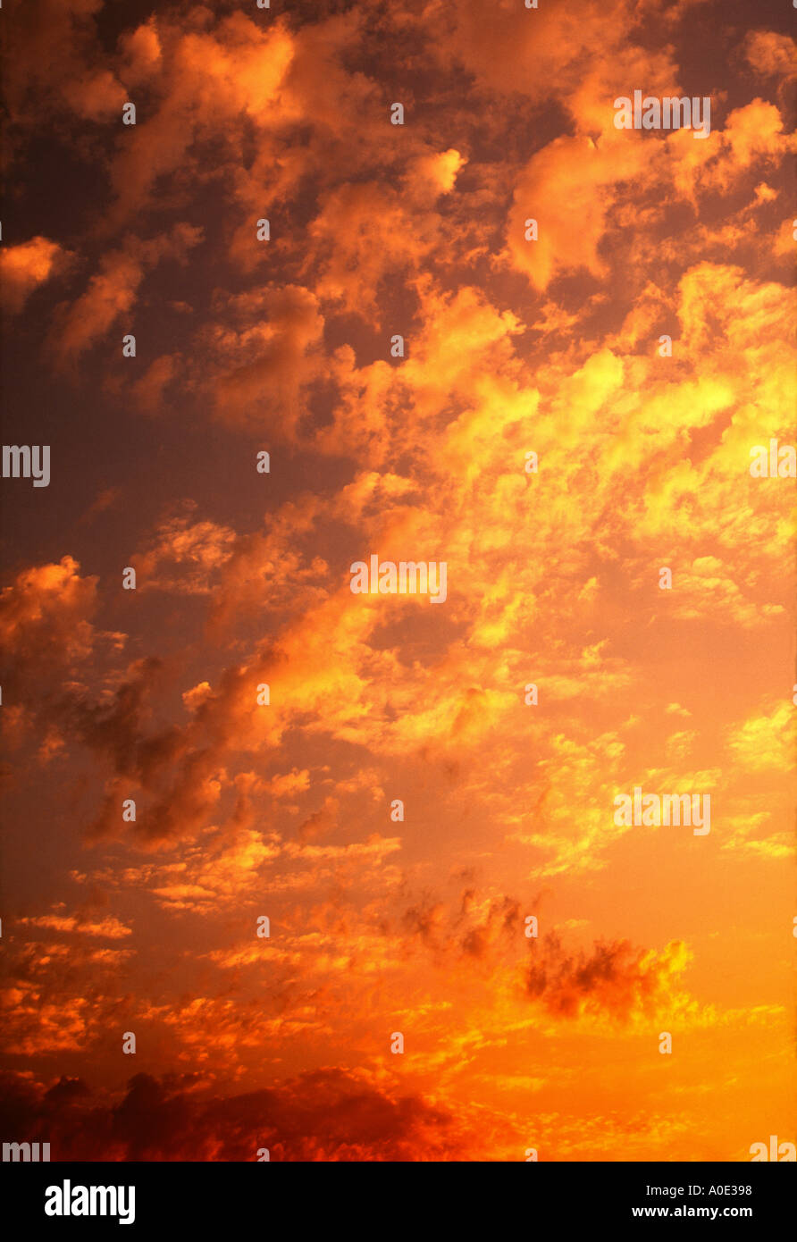 Golden sunset clouds background hi-res stock photography and images - Alamy