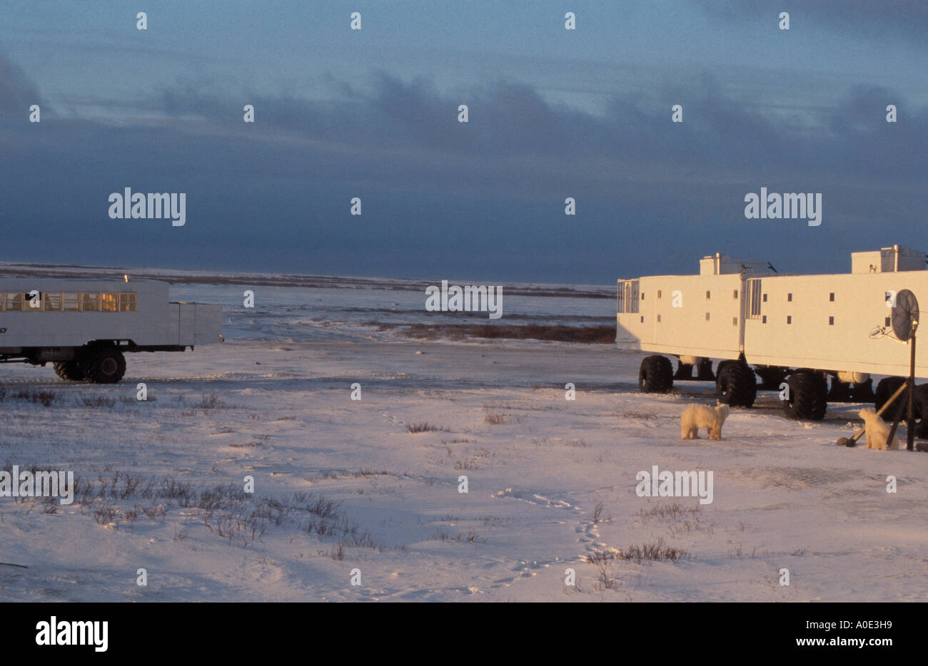 Tundra buggy lodge hi-res stock photography and images - Alamy