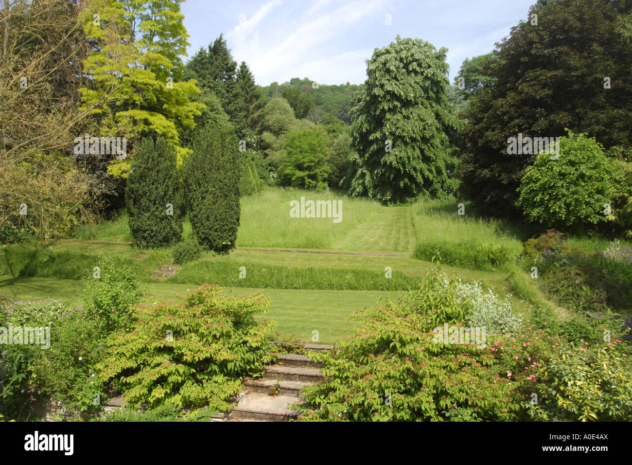 Large lawned UK garden surrounded by mature trees Stock Photo - Alamy