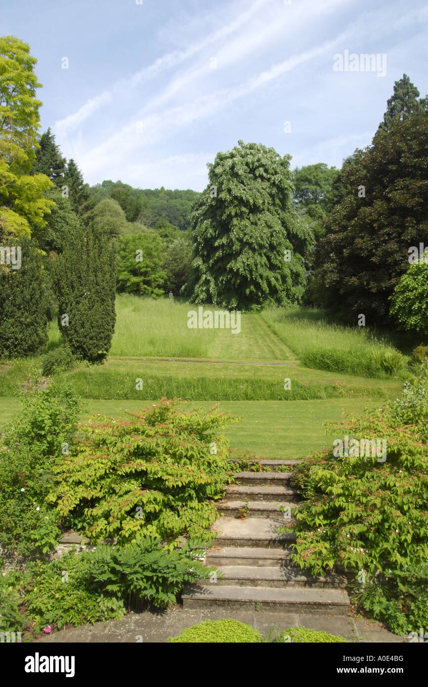 Large lawned UK garden surrounded by mature trees Stock Photo - Alamy