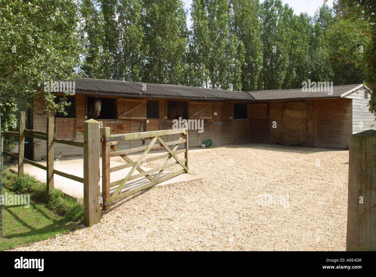 Wooden stable block and stable yard. Stock Photo