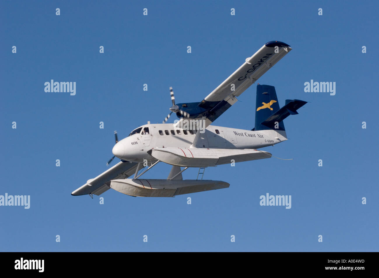 Drink water plane hi-res stock photography and images - Alamy
