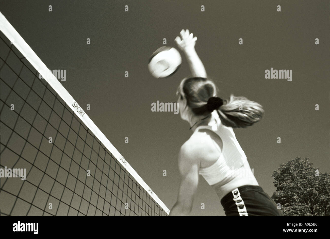 beach volleyball volleyball female player striking ball over net Stock Photo Alamy